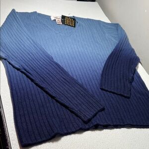 Worthington Men's Gradient Blue Ribbed Sweater VNeck New W/Tags